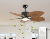 Calista Fan Chandelier with LED Light