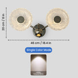 Ovalic LED Wall Lamp
