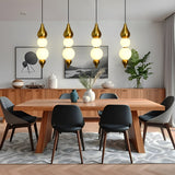 Droplet Frosted Glass Globe LED Pendant Light