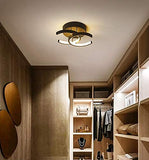 Kosher Ceiling light