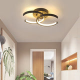 Kosher Ceiling light