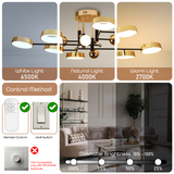 Cason LED Smart Voice Assist Chandelier