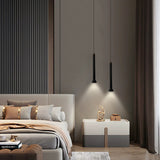 Exposure Pendant Lamp