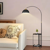 Ariso Black Modern Floor Lamp