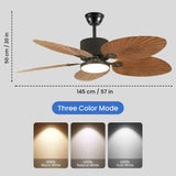 Calista Fan Chandelier with LED Light
