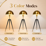Evara Table Lamp