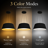 Poncio Black Modern LED Light