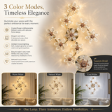 Fiore LED Wall Lamp