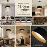 Poncio Black Modern LED Light