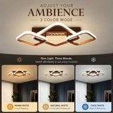 Zenora Led Ceiling Light