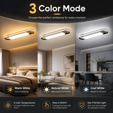 Amigo LED Ceiling Light