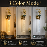 Lavero Modern Indoor Wall Lamp