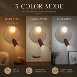 Brio Modern LED Wall Lamp