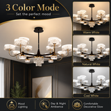 Pellucid Modern LED Chandelier