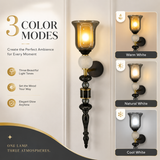 Rosemre LED Wall Lamp