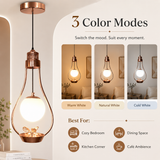 Edie Pendant Lamp