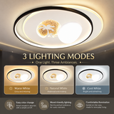 Luvia Modern LED Ceiling Light