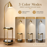 Tivel Modern LED Floor Lamp