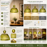 Emerald LED Pendant Ceiling Lights