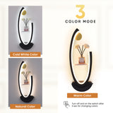 Cologne Modern Indoor Wall Lamp