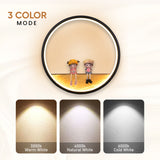 Droid Modern Indoor Wall Lamp