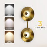 Ellis Gold LED Wall Lamp