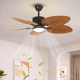 Calista Fan Chandelier with LED Light
