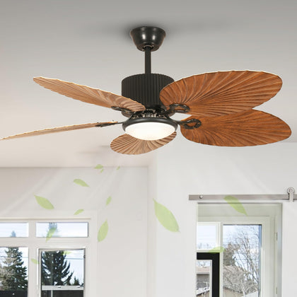 Calista Fan Chandelier with LED Light