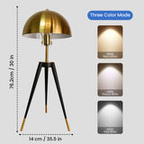 Evara Table Lamp