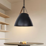 Fran Pendant Ceiling Lights