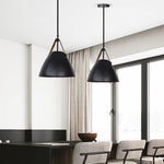 Fran Pendant Ceiling Lights