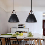 Fran Pendant Ceiling Lights
