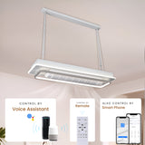 Paco Modern LED Smart Linear Chandelier