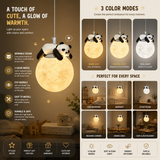 Pebble Panda Moon Pendant Light