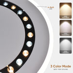 Riley Smart Modern LED Ceiling Light