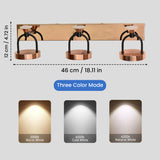 Trilit 14W LED Wall Lamp