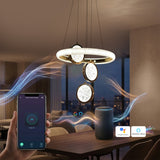 Enrich Smart Voice Assist LED Chandelier