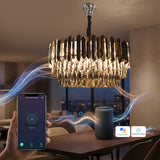 Morose Smart Voice LED Chandelier