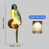 Zenvi Parrot Wall Lamp Decor