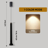 Exposure Pendant Lamp