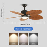 Calista Fan Chandelier with LED Light