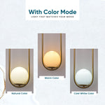Leo Modern Indoor Wall Lamp