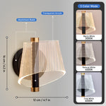 Orbe Modern Indoor Wall Lamp