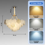 Charlane Smart Voice Assist Chandelier