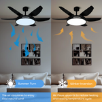 Palencia LED Smart Voice Assist Fan Chandelier