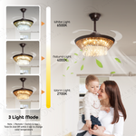 Lucid Modern Ceiling Fan Crystal Chandelier