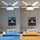 Mazie LED Smart Voice Assist Fan Chandelier