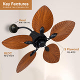 Kinetik 42 Inch BLDC Wall & Ceiling Fan – Black with Wood Finish