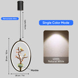 Perch Modern Oval Pendant Light