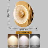 Solaris Gold LED Wall Lamp | Textured Crystal Glass